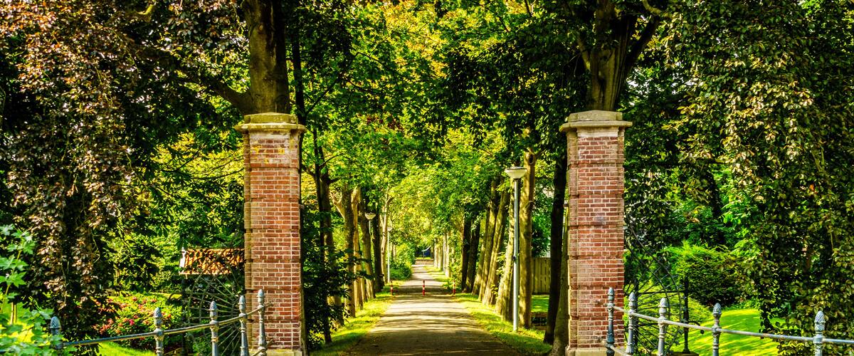 A tree-lined pathway with brick pillars and a rope barrier.