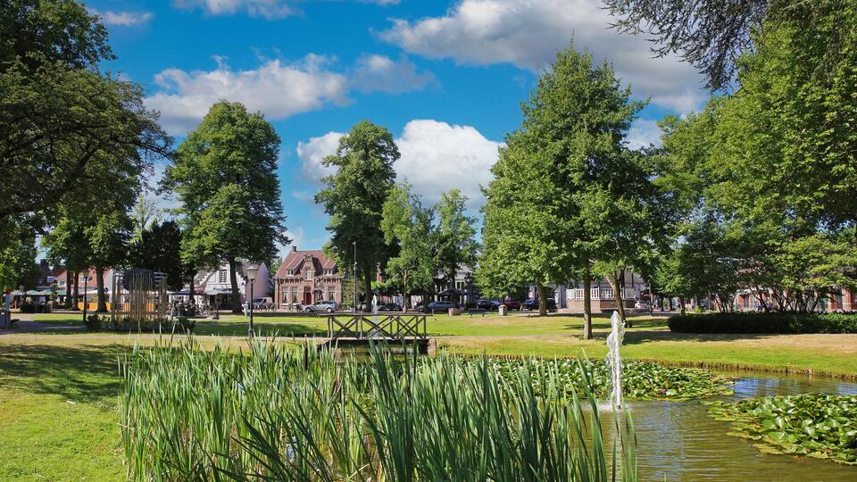 A park with a pond, green grass, and trees.