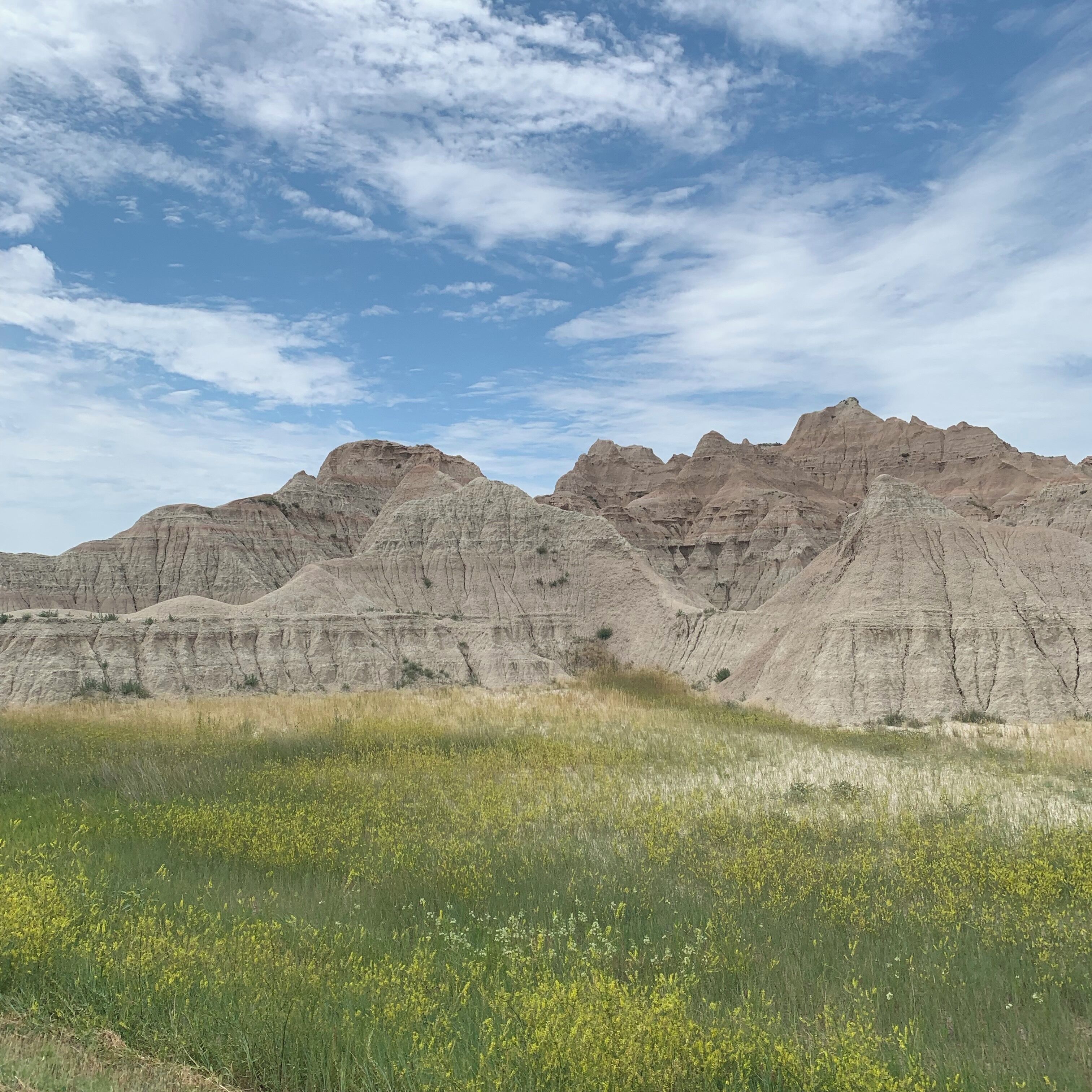 Everyone needs to see the badlands!