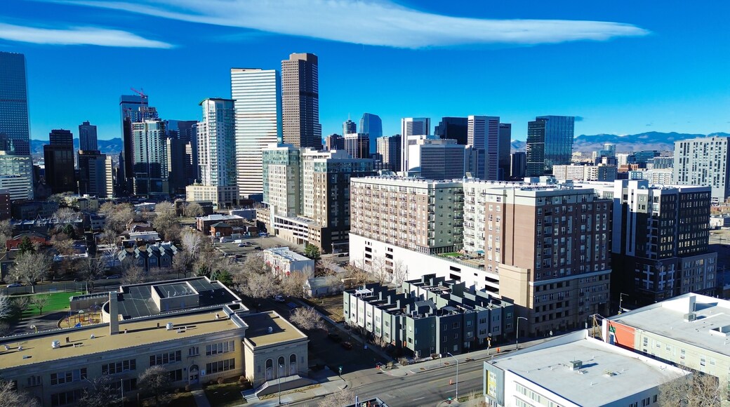 Uptown corridors stretch toward the central business district along 17th St. Bright skies emphasize reflective glass tower facades, varied roof textures and dormant branches, Denver, Colorado