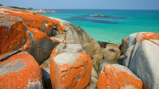 Binalong Bay que incluye vistas de una costa y litoral rocoso