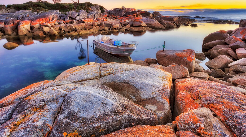Tas bay of fires boat to sea