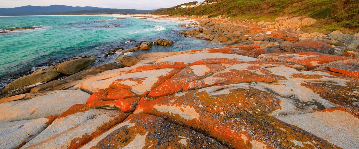 ๋น๋๋กฑ ๋ฒ ์ด ์ด ํฌํจ ์์ ํด์์ , ์ผ๋ฐ ํด์ ์ ๊ฒฝ ๊ณผ ์ผ๋ชฐ