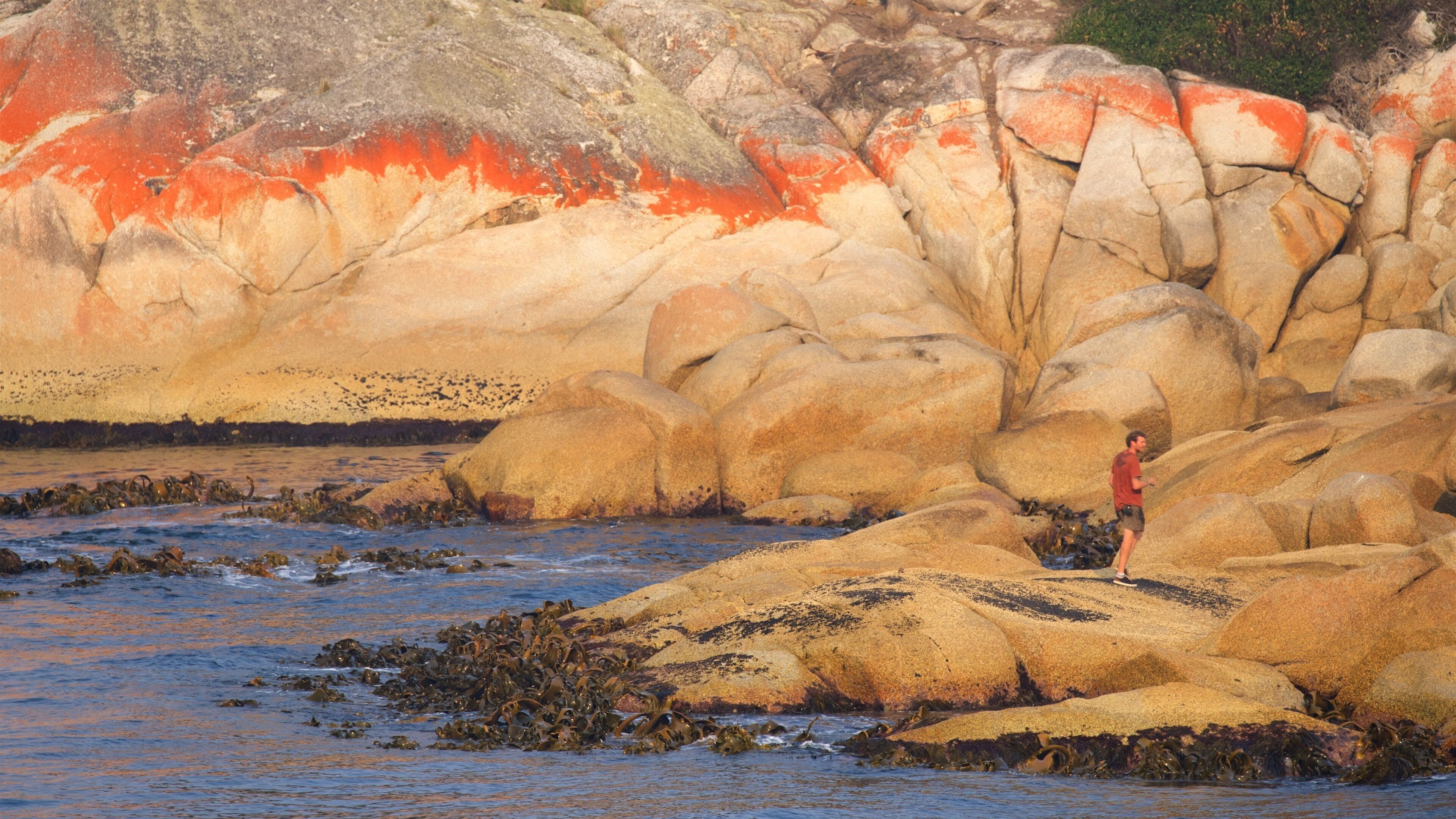 Binalong Bay showing rugged coastline