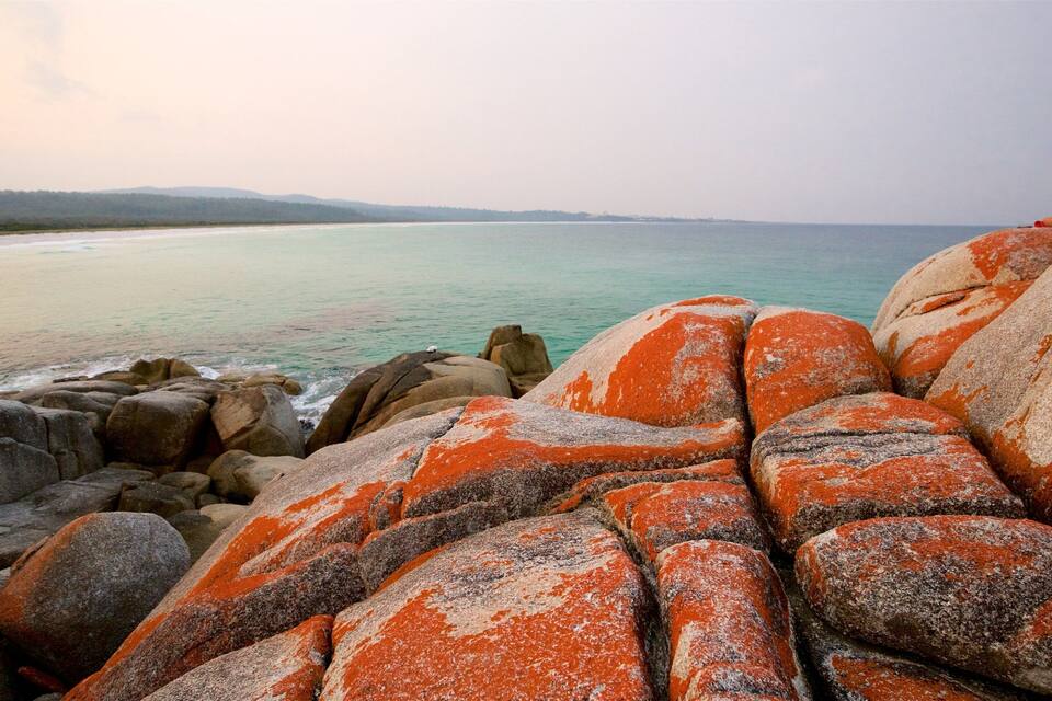 A rocky shoreline with large boulders covered in orange lichen, a person sitting on a rock, and a calm sea with a distant shoreline.