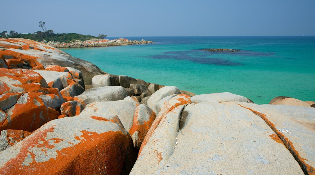 Bay of Fires featuring general coastal views, tropical scenes and rocky coastline