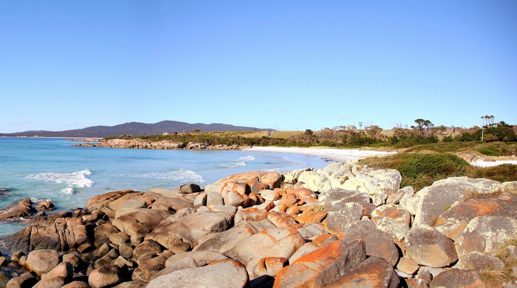Bay Of Fires