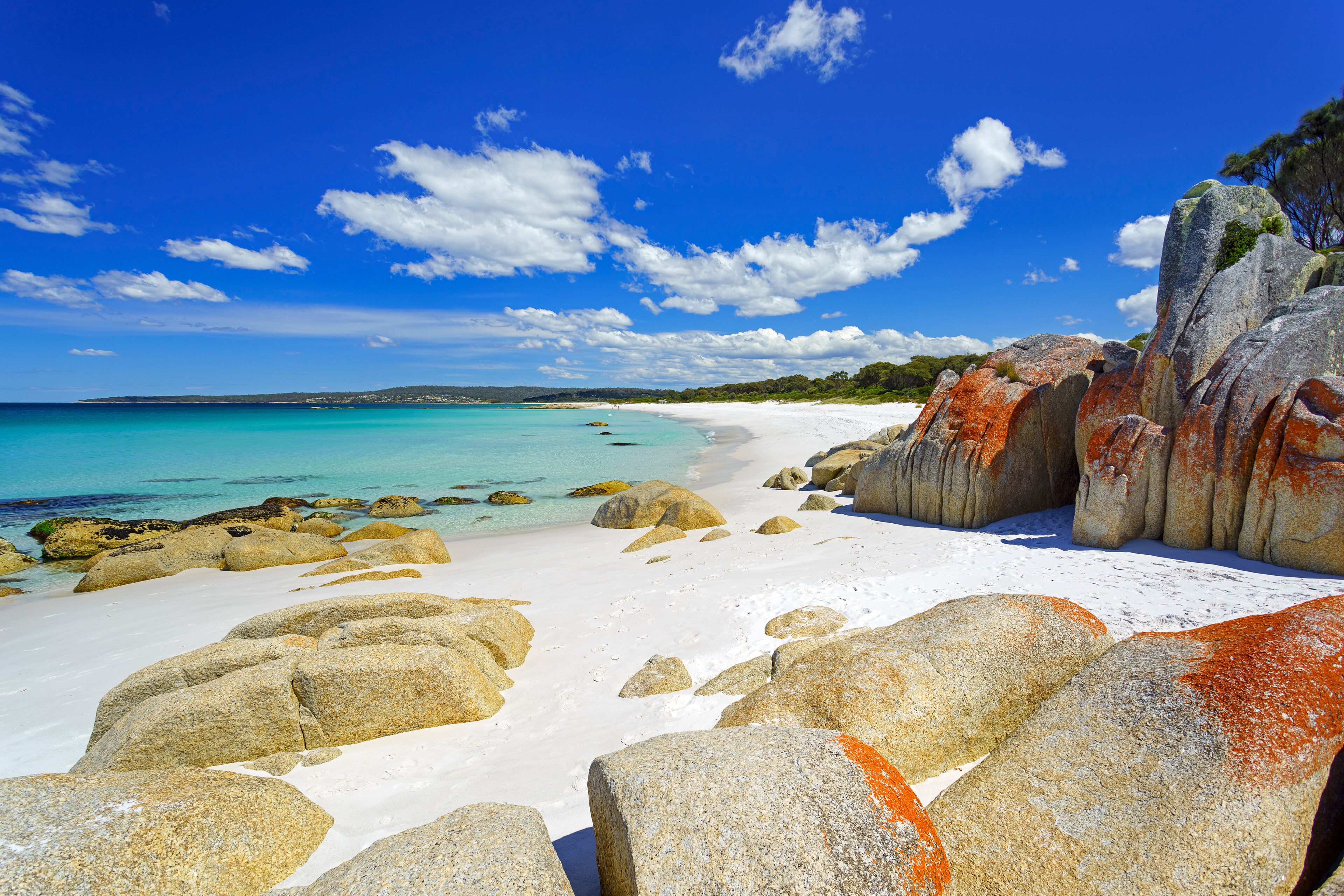 Cosy Corner, Bay Of Fires, Tasmania., Shutterstock ID 780375985, Purchase Order: -