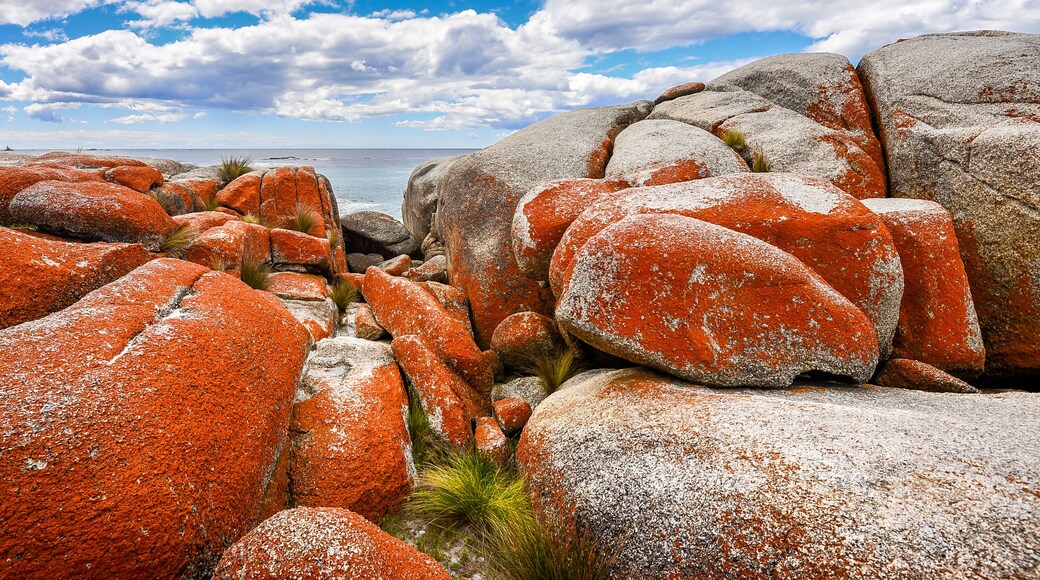 Beautiful sunny summer coast view from Bay Of Fires to blue Tasman Sea with crystal clear water surrounded by red orange colorful shore rocks and white sandy beach, Binalong Bay, Tasmania, Australia
