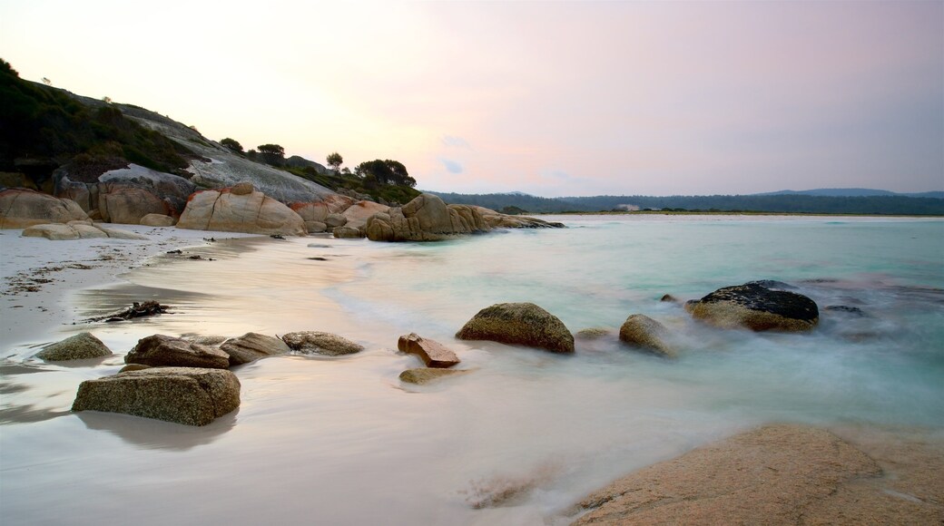 Binalong Bay inclusief een zonsondergang, algemene kustgezichten en een zandstrand