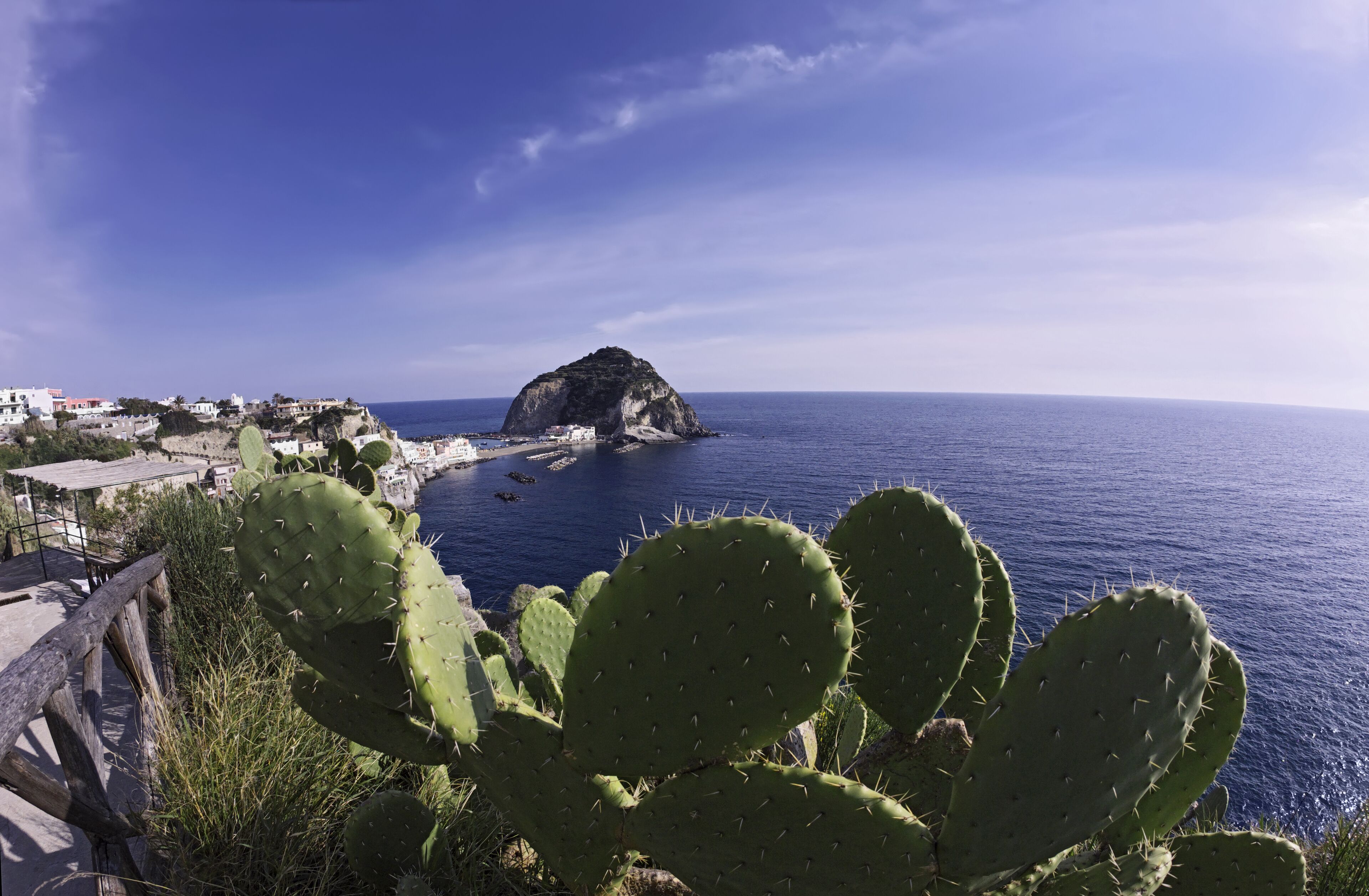 A coastal landscape with a large cactus in the foreground, a rocky outcrop in the sea, and buildings along the shore.