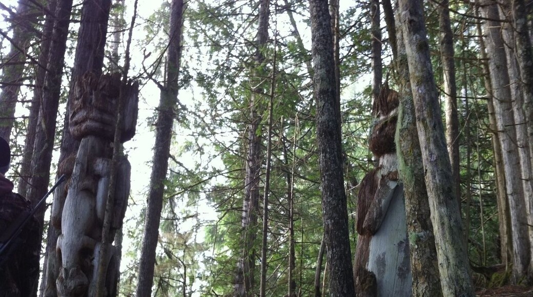 Out on our hunting trip…came across an Indian graveyard.