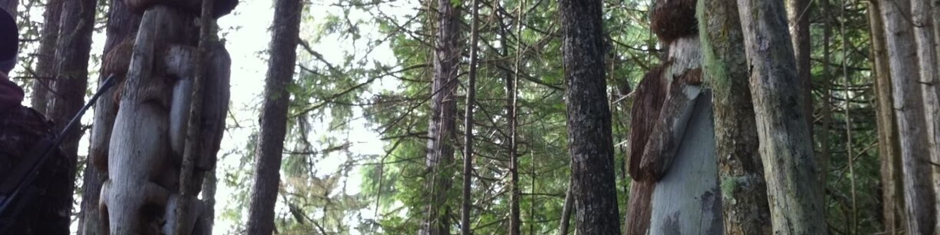 Out on our hunting trip…came across an Indian graveyard.