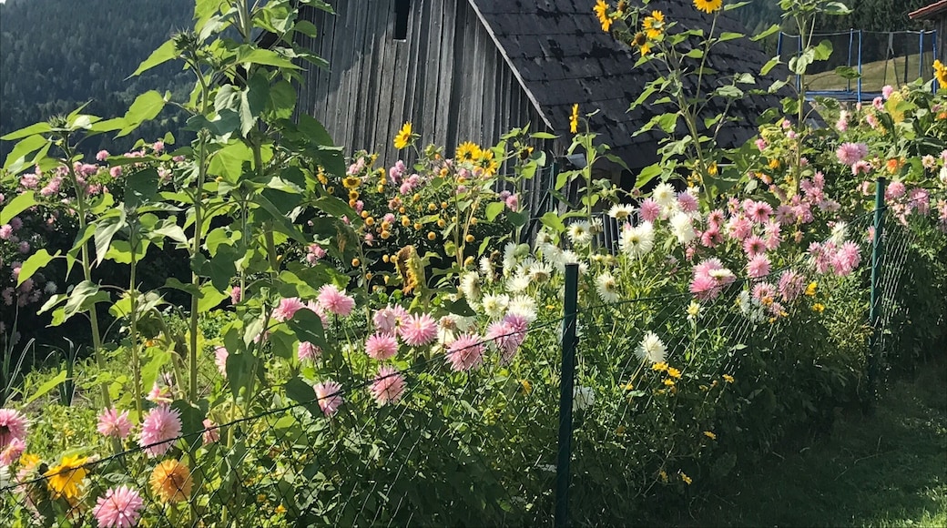 A wooden hut in the Viennese Alps
