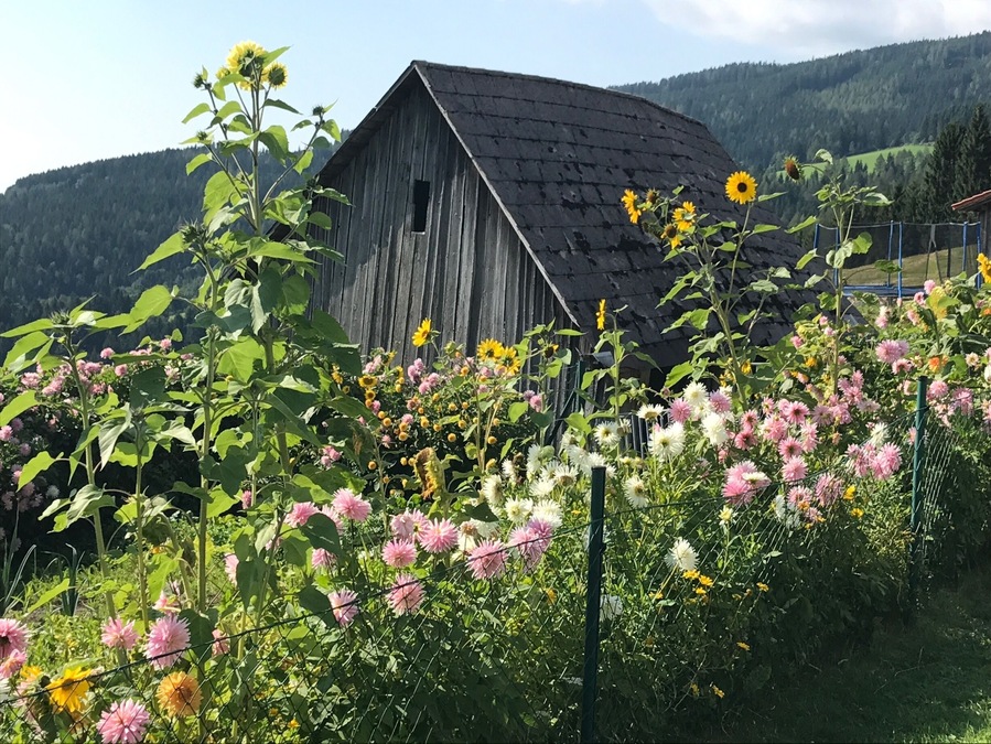 A wooden hut in the Viennese Alps