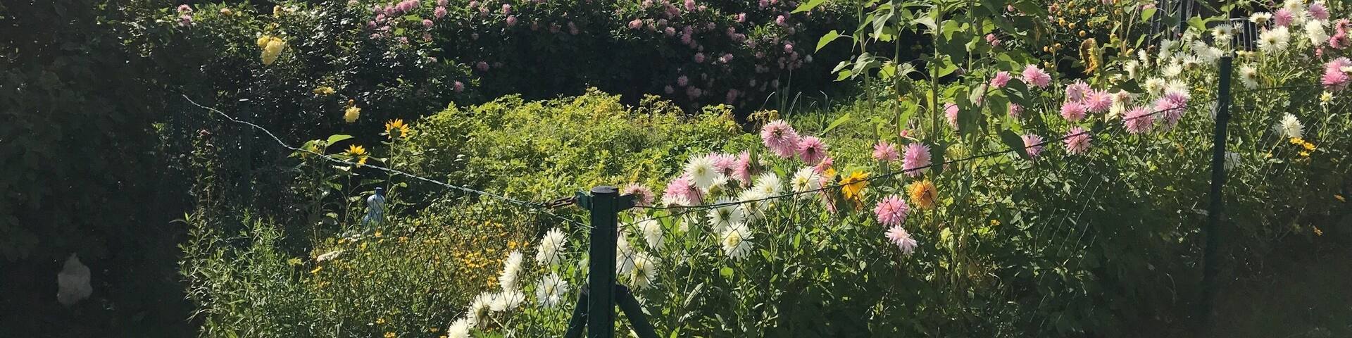 Nice garden in the Viennese Alps