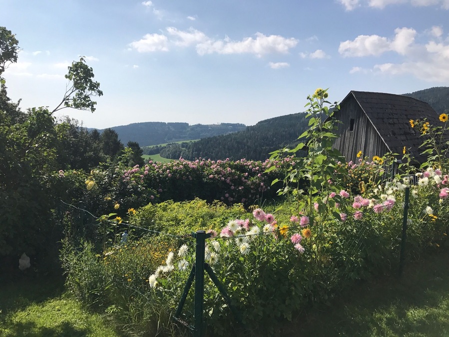 Nice garden in the Viennese Alps