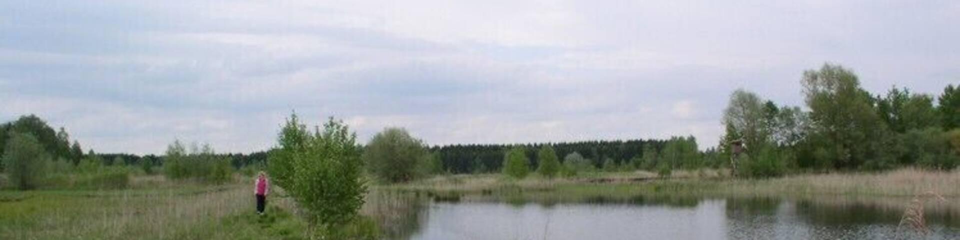 Ehemaliges industrielles Torfstichgebiet, überflutet