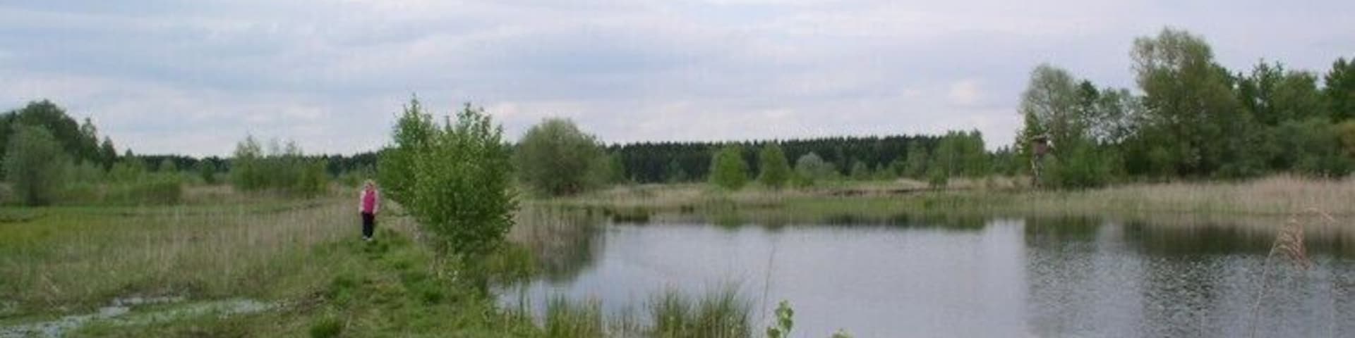 Ehemaliges industrielles Torfstichgebiet, überflutet