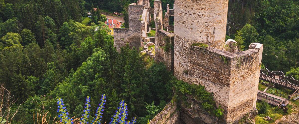 A medieval castle surrounded by dense forest.