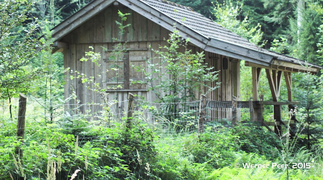 Leit'n Steig Hütterl