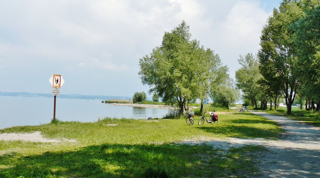 Bodensee bei Fußach
