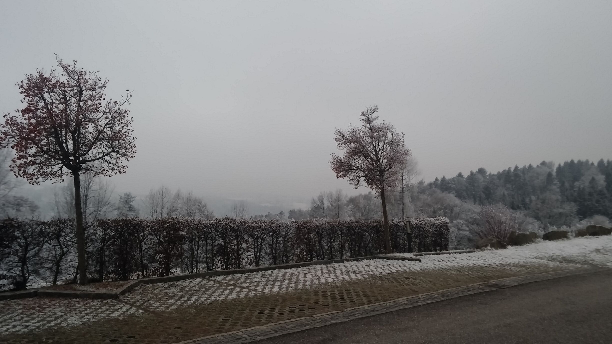 Hagenberg im Mühlkreis Softwarepark, a place where tech institutes are surrounded by immense nature beauty
#WinterWonders