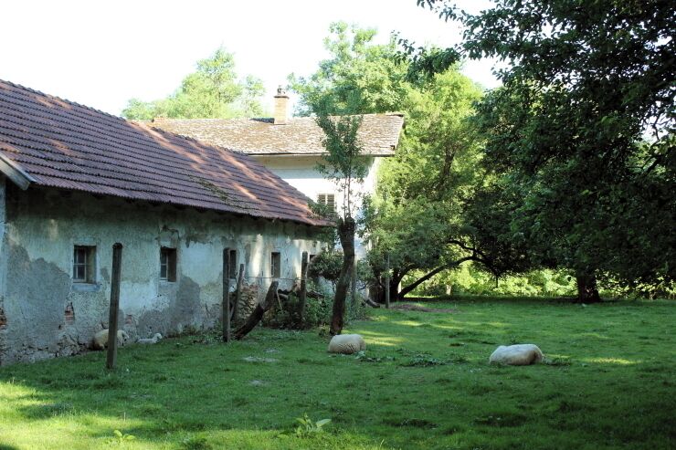 Rieder Wald, Maria Aich