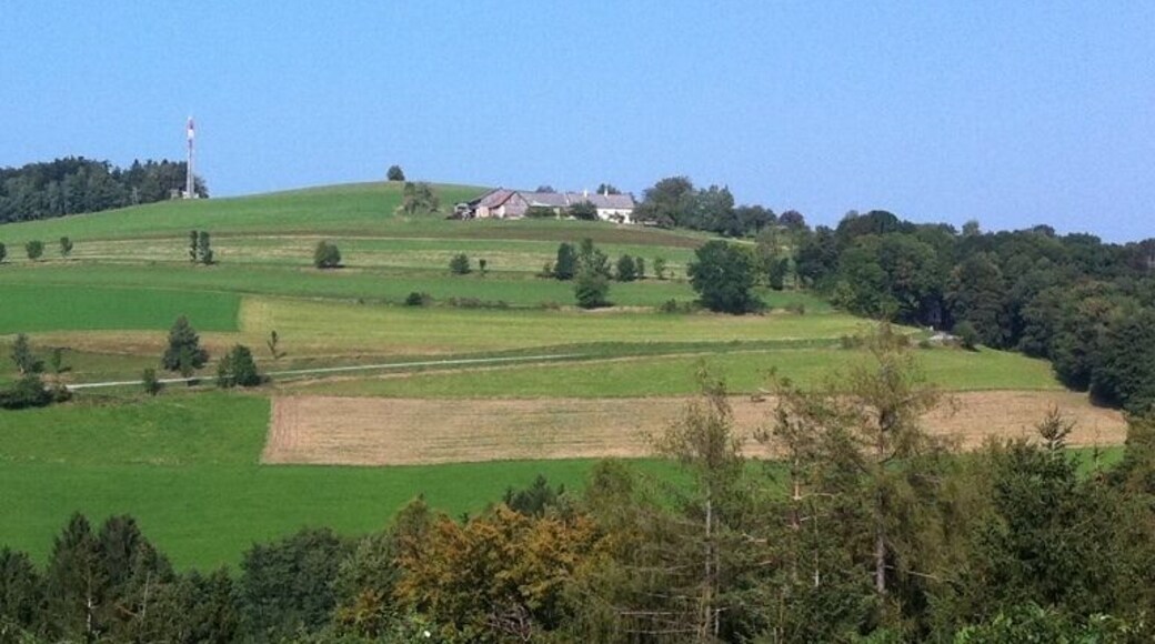 Looks like Windows XP wallpaper...