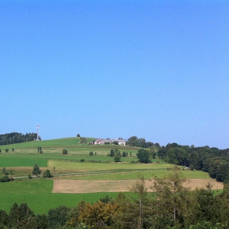 Rolling green hills, a windmill, and a few houses in a rural landscape.