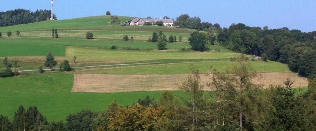 Rolling green hills, a windmill, and a few houses in a rural landscape.