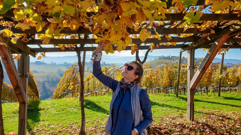 Woman gently touches the vibrant yellow leaves of a vine in Ratsch an der Weinstrasse, Styria, Austria. Vineyard landscape unfolds in background, bathed in autumn sunlight. Styrian wine region