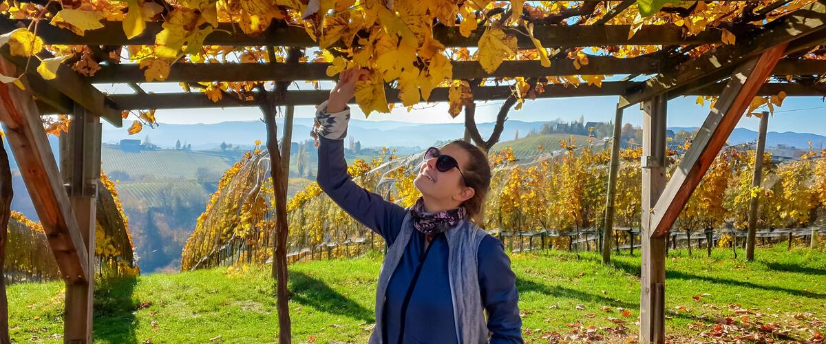A person under a pergola with yellow leaves, surrounded by a vineyard and a hilly landscape.