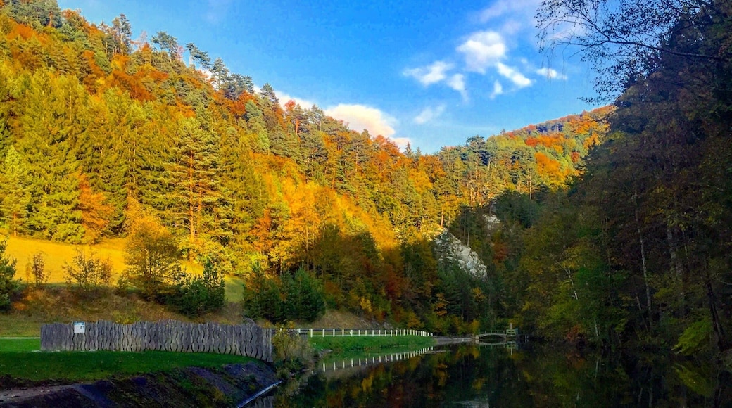 Amazing place around Austria!🇦🇹