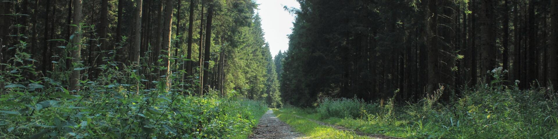 KobernauĂerwald