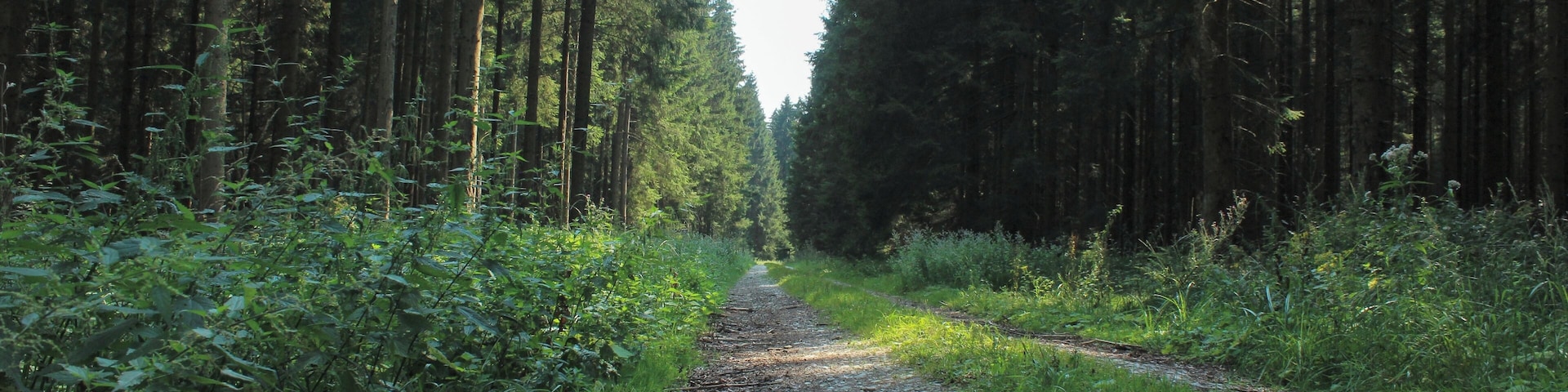 KobernauĂerwald