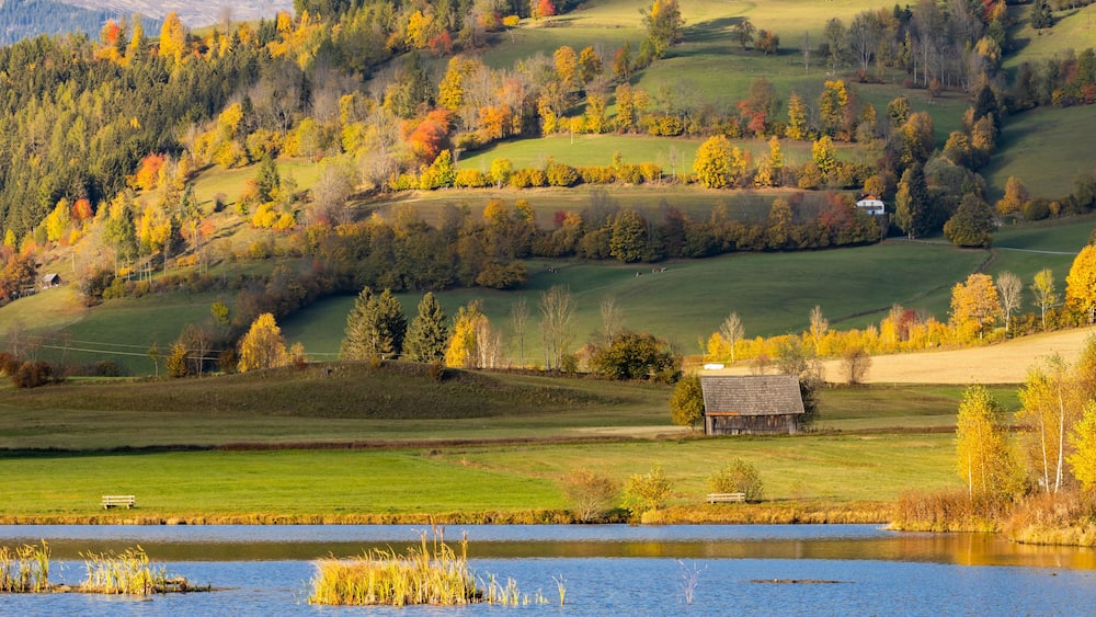 autumn pond under the mountains, Murau district,.Styria, Austria