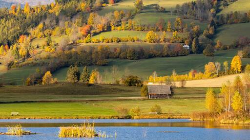 شتادل بردليتس