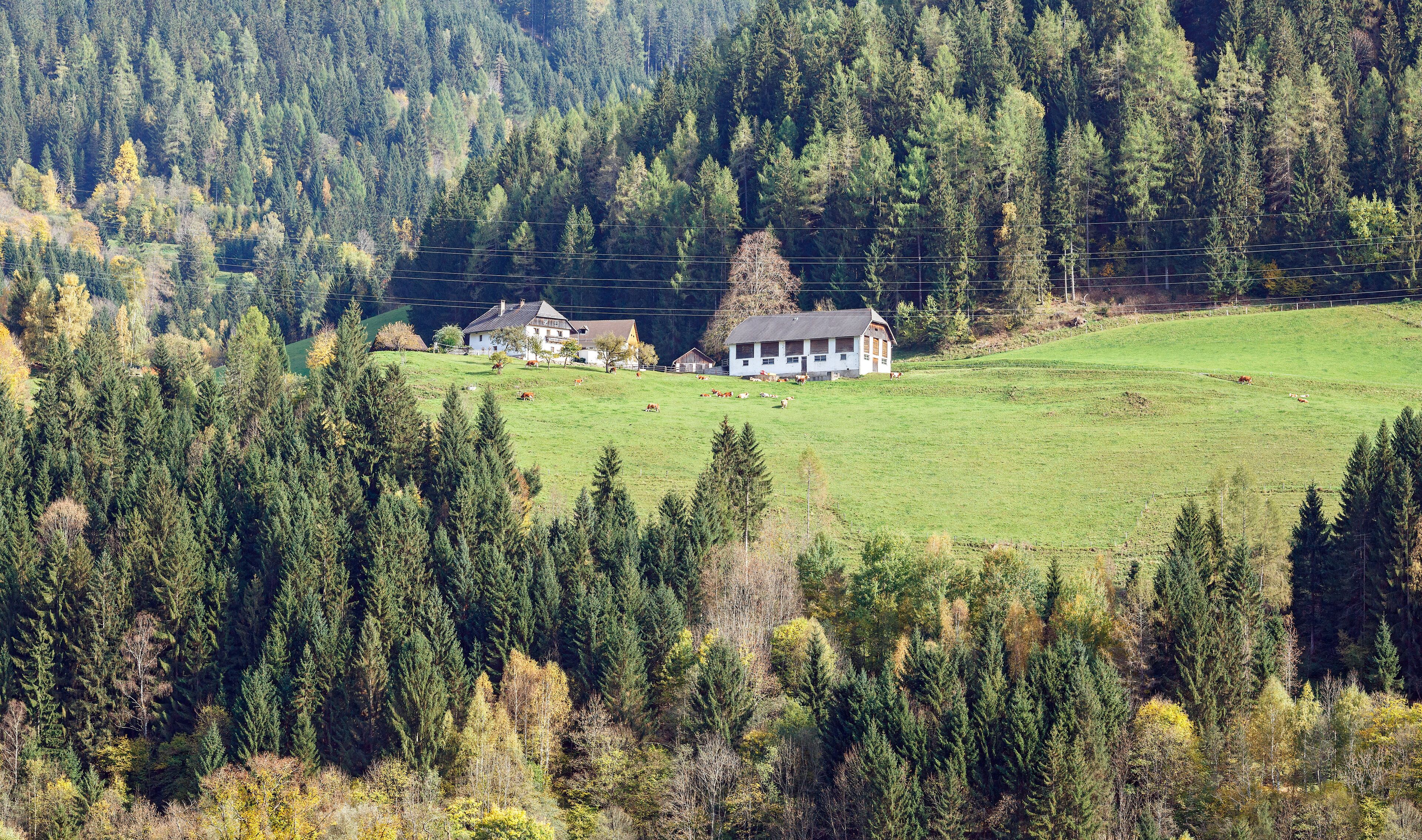 Farm house. Alps mountains, Murau district, Styria, Austria