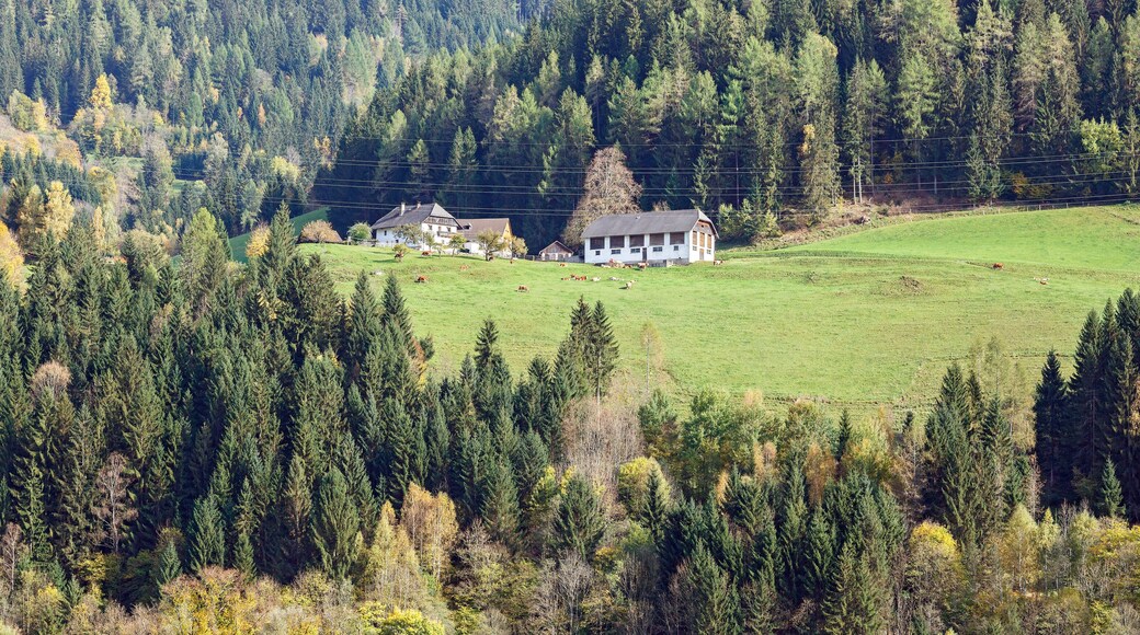 Farm house. Alps mountains, Murau district, Styria, Austria