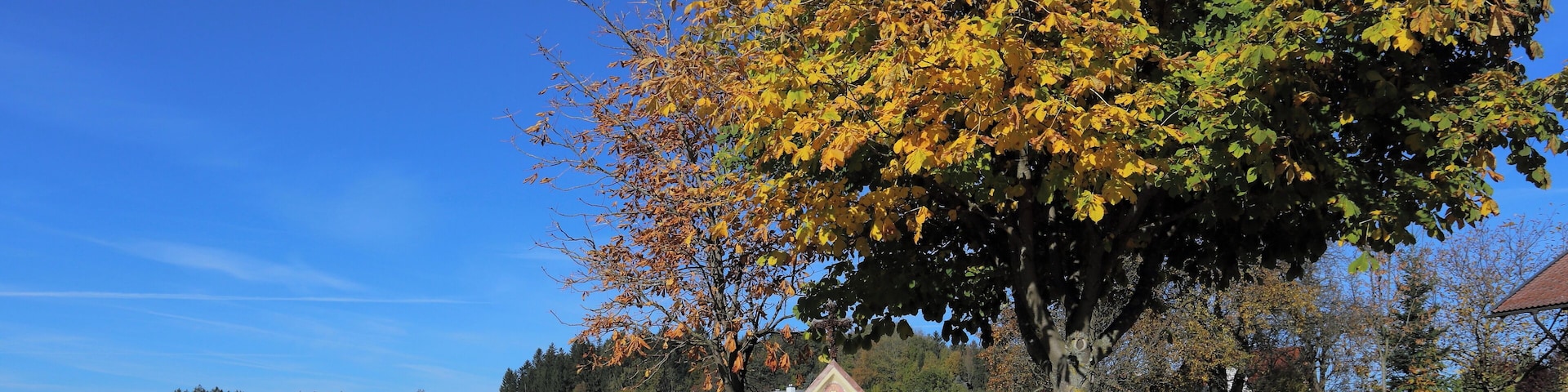 Die Pfarrhofkapelle in der oberösterreichischen Gemeinde St. Marienkirchen am Hausruck.