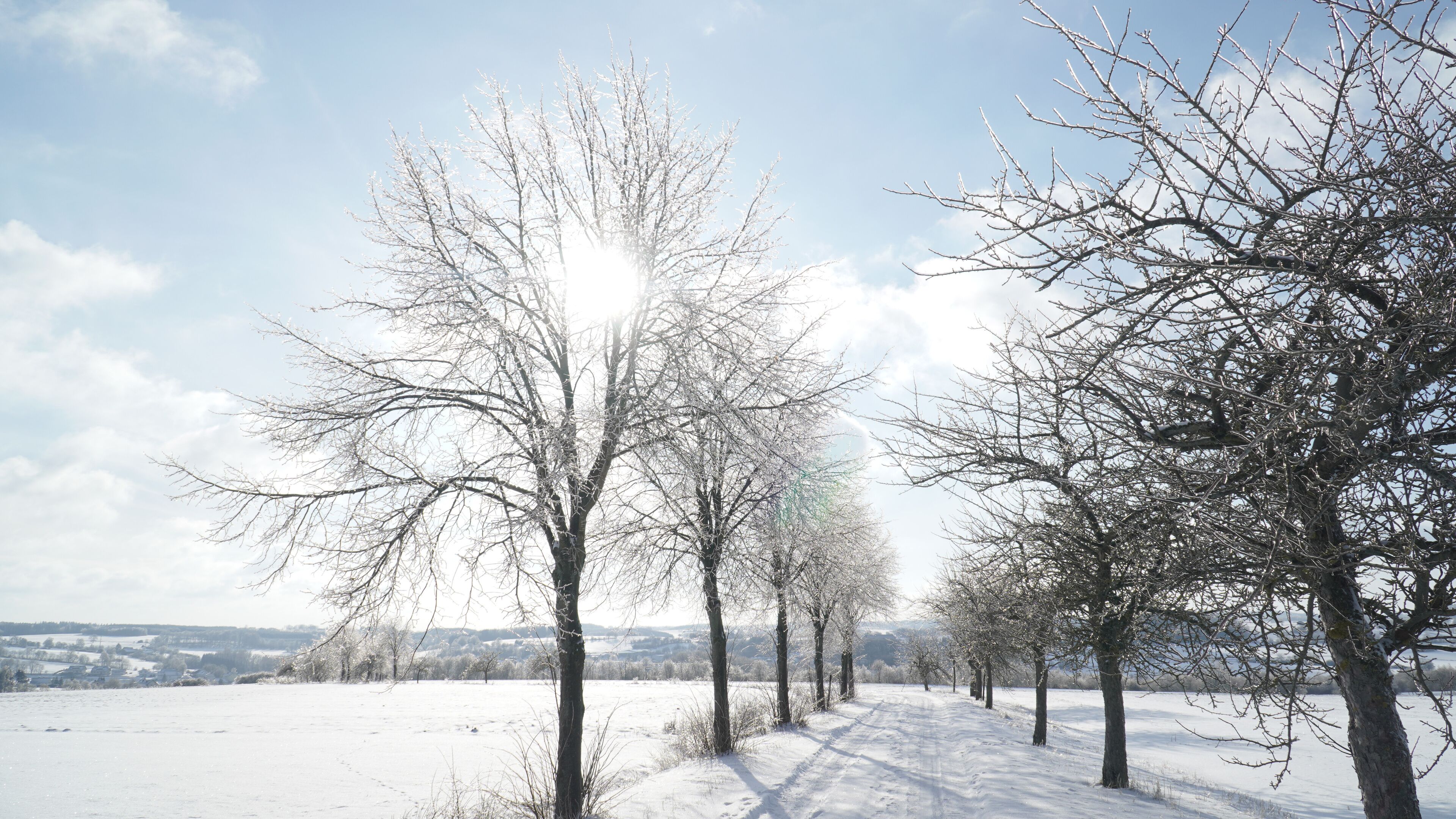A snow-covered landscape with leafless trees and a clear sky.