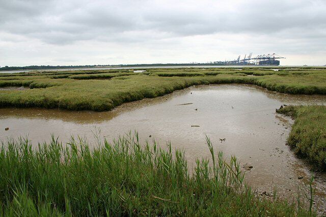 Crane's Creek A network of inlets fills at high water, but as the tide recedes large areas of mud flats are exposed. The River Orwell can be seen as a thin blue strip in the background, beyond which loom the ship-to-shore gantry cranes at Felixstowe's Trinity Terminal.