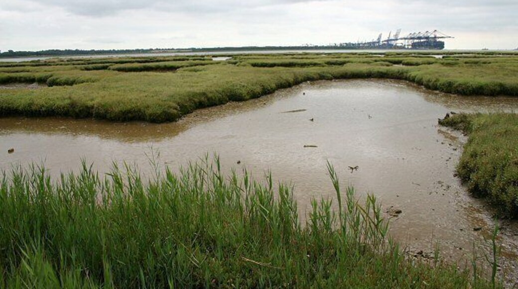 Crane's Creek A network of inlets fills at high water, but as the tide recedes large areas of mud flats are exposed. The River Orwell can be seen as a thin blue strip in the background, beyond which loom the ship-to-shore gantry cranes at Felixstowe's Trinity Terminal.