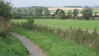 A rural path with a wooden fence, green fields, and trees in the distance.
