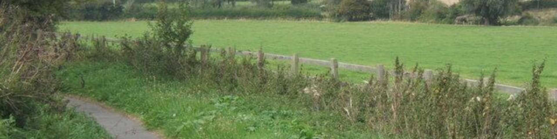 Country views from footpath by the B1456 The pavement leaves the roadside making an attractive walk.