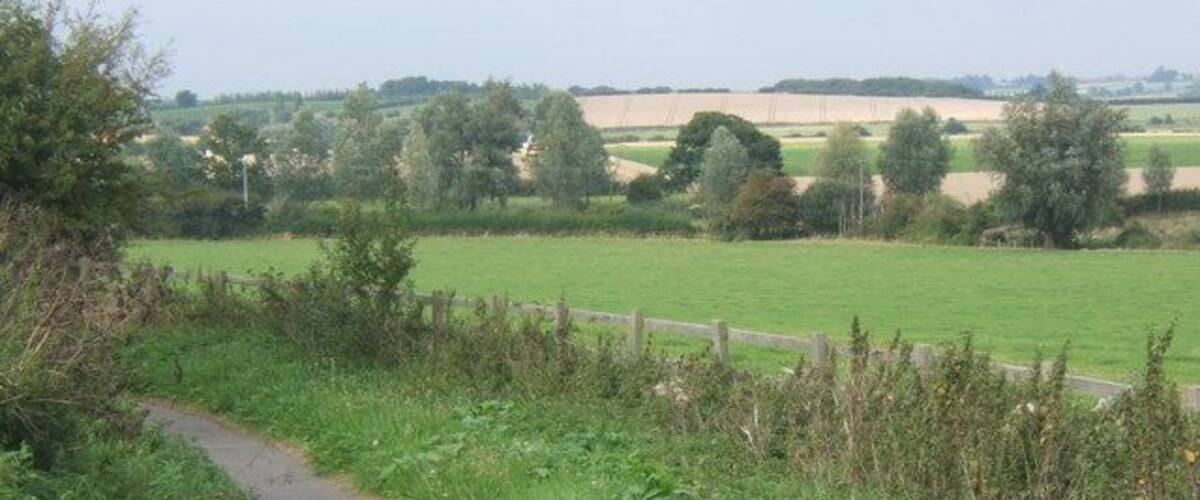 A rural path with a wooden fence, green fields, and trees in the distance.
