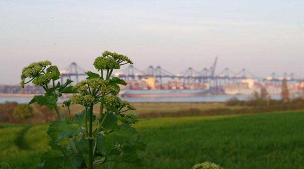 Across to Felixstowe Looking across the open fields at Shotley to Felixstowe Docks.
