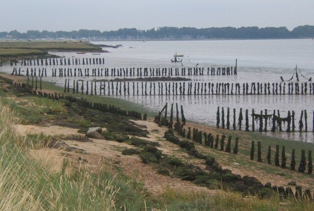 Orwell estuary, Lower Reach, looking north Rows of wooden posts standing in the mud are a feature here.