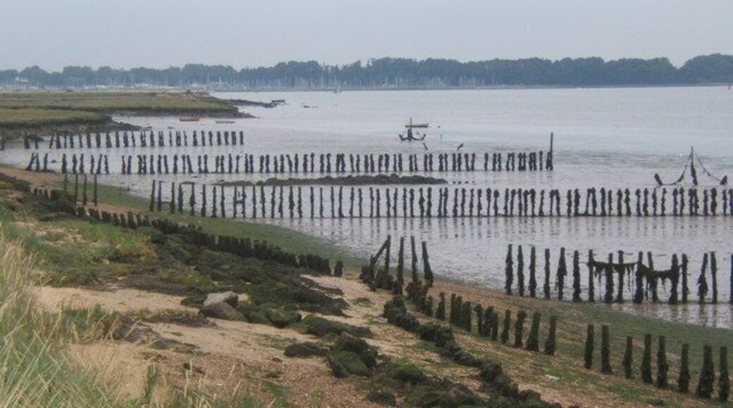 Orwell estuary, Lower Reach, looking north Rows of wooden posts standing in the mud are a feature here.